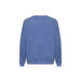 DYEING SWEAT MTM_32YC5A22, 퍼플