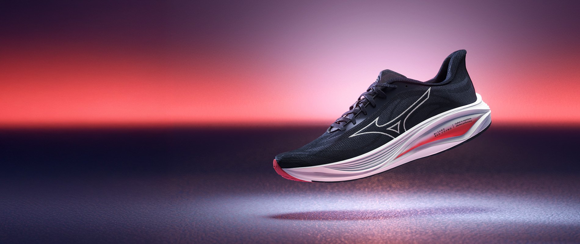 MIZUNO