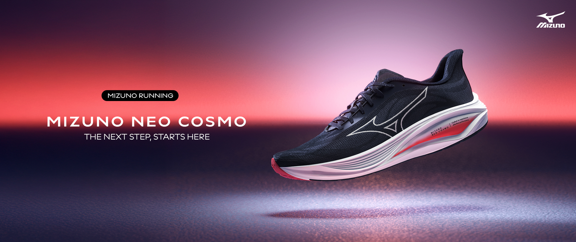 MIZUNO