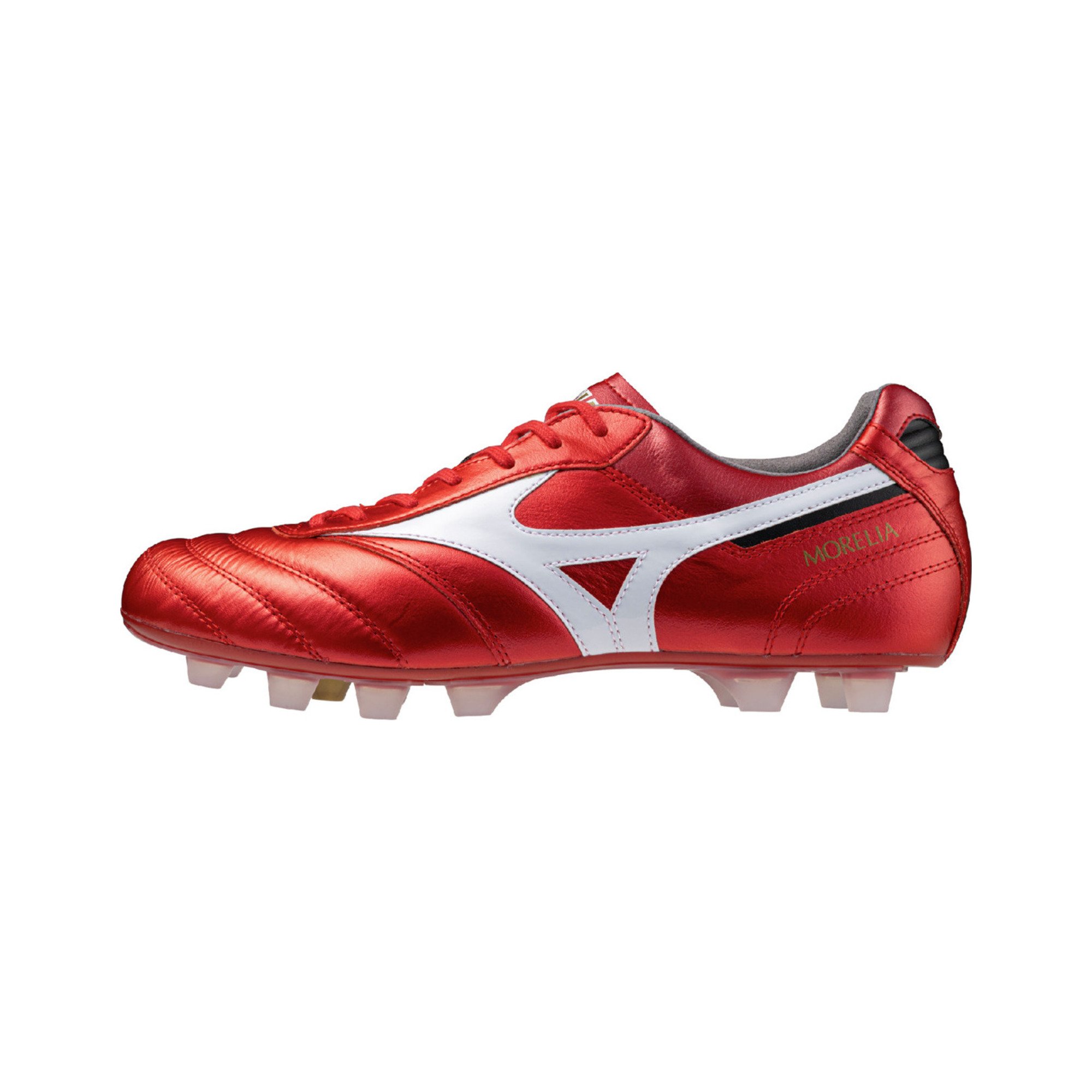 MORELIA II JAPAN_P1GA2501